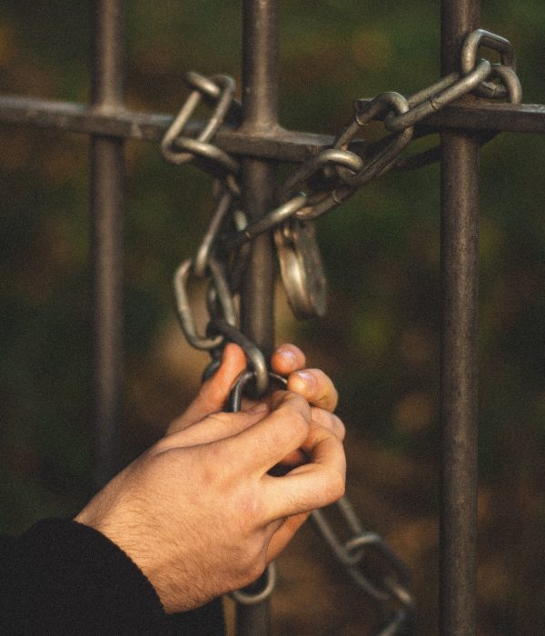 avram-swan-IJfNJHpiPEU-unsplash
